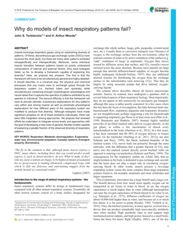 Why Do Models of Insect Respiratory Patterns Fail? John S