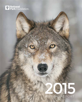 2015 Annual Report