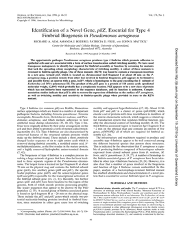 Identification of a Novel Gene, Pilz, Essential for Type 4 Fimbrial