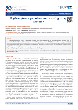 Erythrocyte Acetylcholinesterase Is a Signaling Receptor