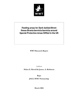 Feeding Areas for Dark-Bellied Brent Geese Branta Bernicla Bernicla Around Special Protection Areas (Spas) in the UK