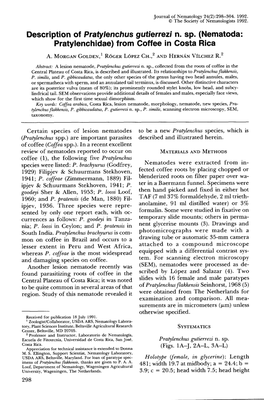 Description of Pratylenchus Gutierrezi N. Sp. (Nematoda: Pratylenchidae