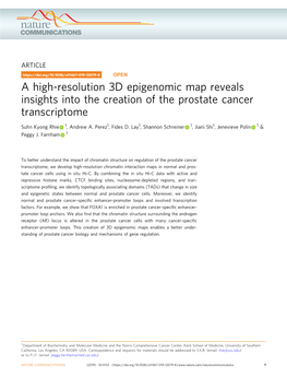 A High-Resolution 3D Epigenomic Map Reveals Insights Into the Creation of the Prostate Cancer Transcriptome