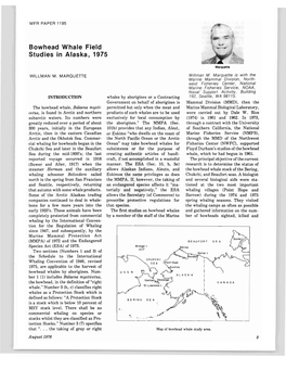 Bowhead Whale Field Studies in Alaska, 1975