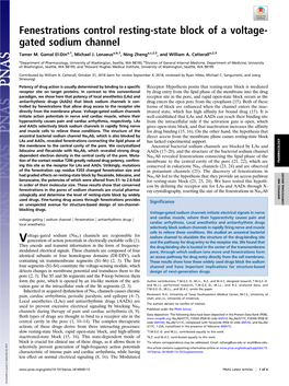 Fenestrations Control Resting-State Block of a Voltage-Gated Sodium