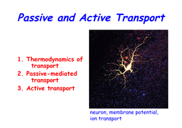 Passive and Active Transport