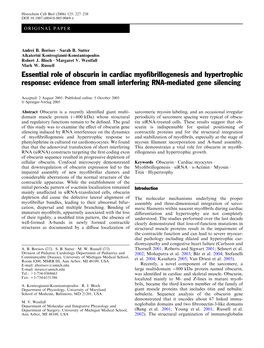 Essential Role of Obscurin in Cardiac Myofibrillogenesis and Hypertrophic