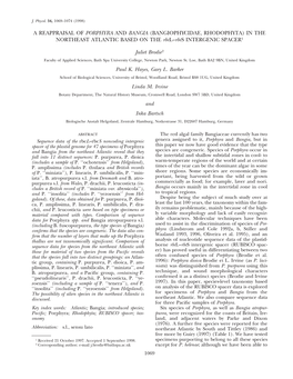 A REAPPRAISAL of PORPHYRA and BANGIA (BANGIOPHYCIDAE, RHODOPHYTA) in the NORTHEAST ATLANTIC BASED on the Rbcl–Rbcs INTERGENIC SPACER1