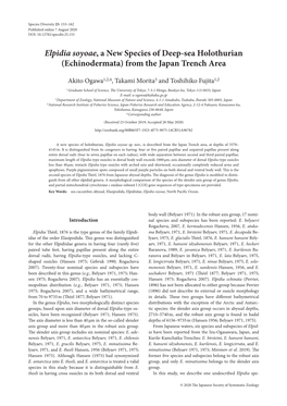 Elpidia Soyoae, a New Species of Deep-Sea Holothurian (Echinodermata) from the Japan Trench Area