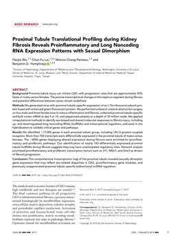 Proximal Tubule Translational Profiling During Kidney Fibrosis Reveals Pro- Inflammatory and Lncrna Expression Patterns with Sexual Dimorphism