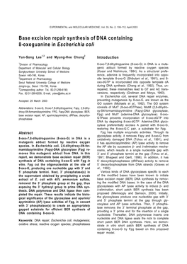 Base Excision Repair Synthesis of DNA Containing 8-Oxoguanine in Escherichia Coli