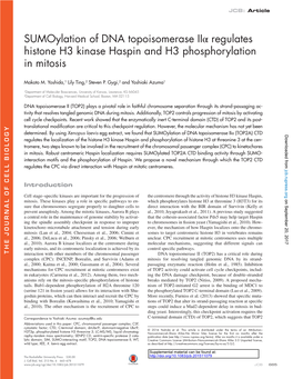 Sumoylation of DNA Topoisomerase Iiα Regulates Histone H3 Kinase Haspin and H3 Phosphorylation in Mitosis