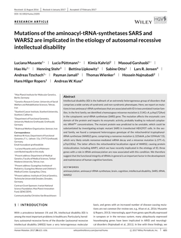 Synthetases SARS and WARS2 Are Implicated in the Etiology of Autosomal Recessive Intellectual Disability