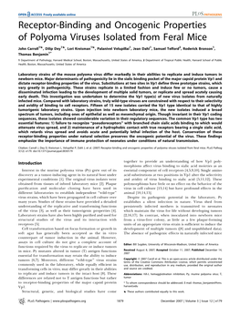 Receptor-Binding and Oncogenic Properties of Polyoma Viruses Isolated from Feral Mice