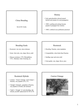 Citrus Breeding History Breeding Goals Rootstock Rootstock Hybrids