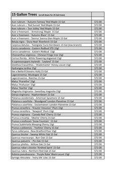 Red Maple 15 Gal $72.00 Acer Rubrum