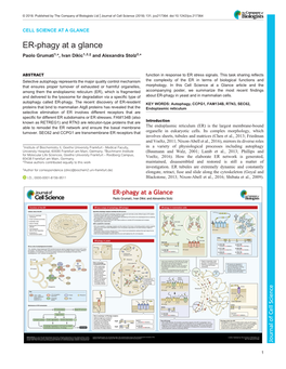 ER-Phagy at a Glance Paolo Grumati1,*, Ivan Dikic1,2,‡ and Alexandra Stolz2,*