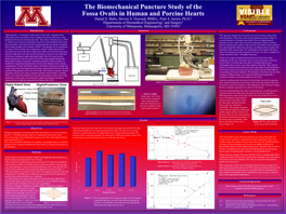 The Biomechanical Puncture Study of the Fossa Ovalis in Human and Porcine Hearts Daniel S