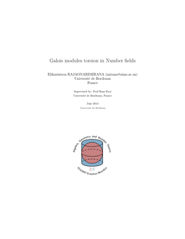 Galois Modules Torsion in Number Fields