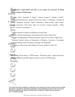 Identification of P38 MAPK and JNK As New Targets for Correction of Wilson Disease-Causing ATP7B Mutants