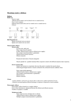 1 Physiology Week 4 – Reflexes