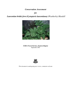 Conservation Assessment for Laurentian Brittle Fern (Cystopteris Laurentiana) (Weatherby) Blasdell