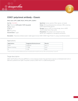 CXXC1 Polyclonal Antibody - Classic