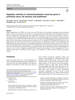 Regulatory Networks in Mechanotransduction Reveal Key Genes in Promoting Cancer Cell Stemness and Proliferation