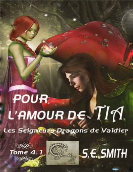 Les Seigneurs Dragons De Valdier T04,1