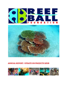 Rbf Annual Report: Update on Projects 2016