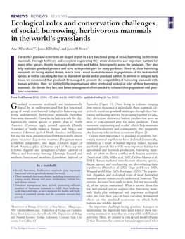 Ecological Roles and Conservation Challenges of Social, Burrowing