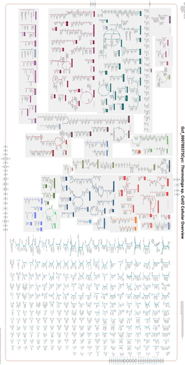 Generated by SRI International Pathway Tools Version 25.0, Authors S