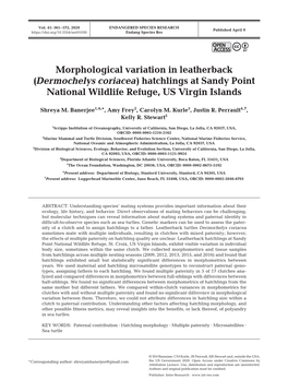 Morphological Variation in Leatherback (Dermochelys Coriacea) Hatchlings at Sandy Point National Wildlife Refuge, US Virgin Islands