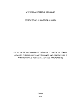 BEATRIZ CRISTINA KONOPATZKI HIROTA.Pdf