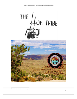 Hopi Comprehensive Economic Development Strategy 0