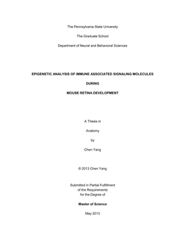 Open Chen-Thesis Finalv5.Pdf