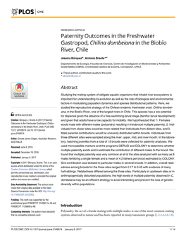 Paternity Outcomes in the Freshwater Gastropod, Chilina Dombeiana in the Biobı´O River, Chile