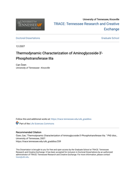 Thermodynamic Characterization of Aminoglycoside-3Â•²