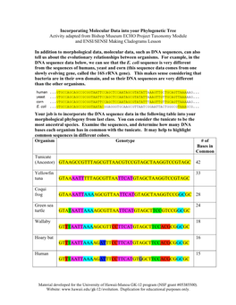 Incorporating Molecular Data Into Your Phylogenetic Tree Activity Adapted from Bishop Museum ECHO Project Taxonomy Module and ENSI/SENSI Making Cladograms Lesson