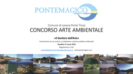 Comune Di Lavena Ponte Tresa CONCORSO ARTE AMBIENTALE