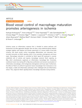 Blood Vessel Control of Macrophage Maturation Promotes Arteriogenesis in Ischemia