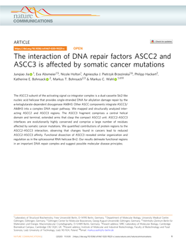 The Interaction of DNA Repair Factors ASCC2 and ASCC3 Is Affected by Somatic Cancer Mutations