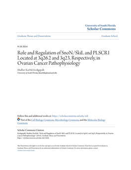 Role and Regulation of Snon/Skil and PLSCR1 Located at 3Q26.2