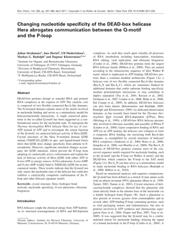 Changing Nucleotide Specificity of the DEAD-Box Helicase Hera Abrogates Communication Between the Q-Motif and the P-Loop