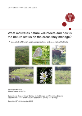 What Motivates Nature Volunteers and How Is the Nature Status on the Areas They Manage?