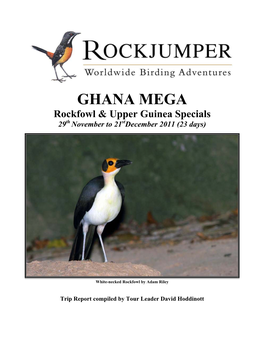 GHANA MEGA Rockfowl & Upper Guinea Specials Th St 29 November to 21 December 2011 (23 Days)