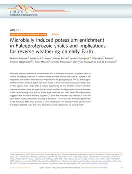 Microbially Induced Potassium Enrichment in Paleoproterozoic Shales and Implications for Reverse Weathering on Early Earth