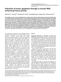 Induction of Tumor Apoptosis Through a Circular RNA Enhancing Foxo3 Activity