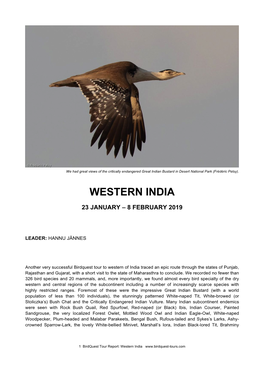 Western India Tour Report 2019