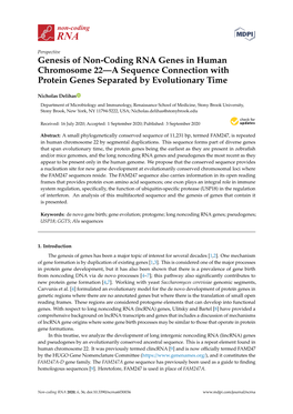 Genesis of Non-Coding RNA Genes in Human Chromosome 22—A Sequence Connection with Protein Genes Separated by Evolutionary Time